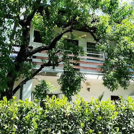 Felix Apartment Biograd Biograd na Moru Kültér fotó