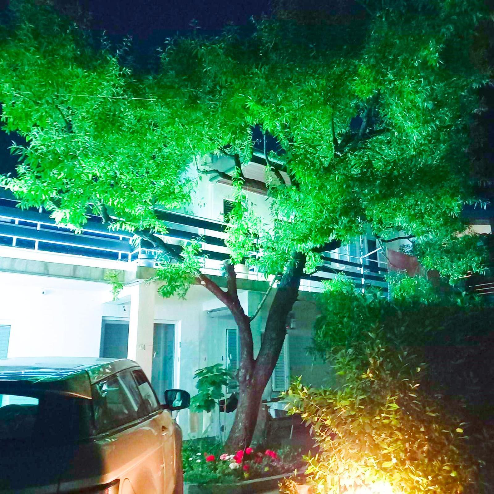 Felix Apartment Biograd Biograd na Moru Kültér fotó