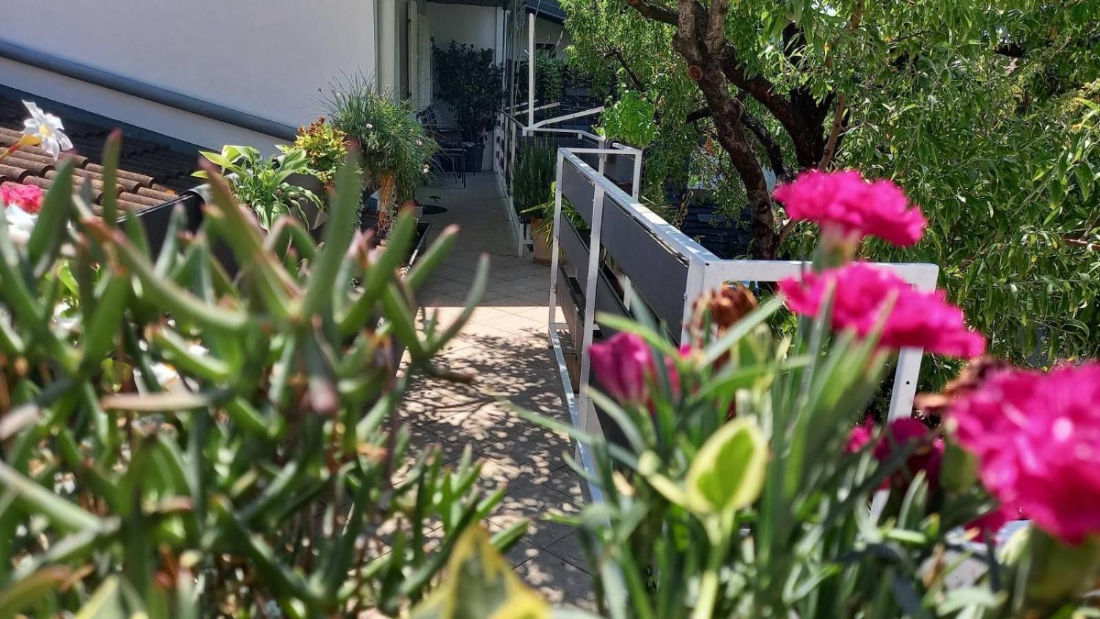 Felix Apartment Biograd Biograd na Moru Kültér fotó